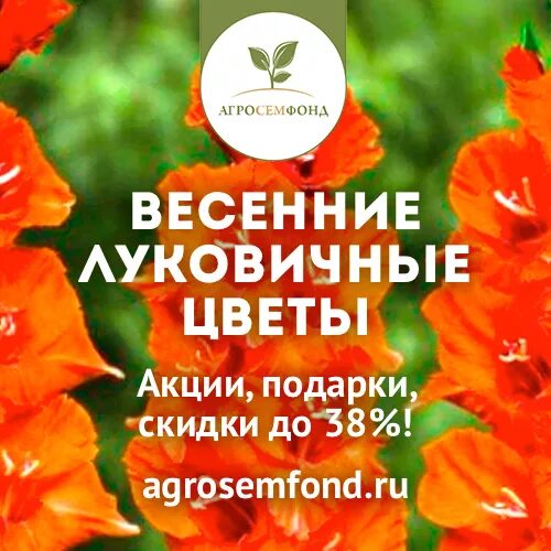 Агросемфонд купить саженцы. АГРОСЕМФОНД. АГРОСЕМФОНД каталог на весну 2023 года. АГРОСЕМФОНД каталог. Семена цветы АГРОСЕМФОНД.