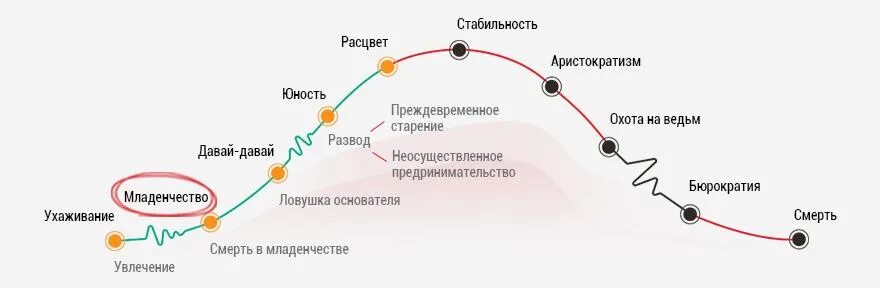 Пройти тест адизеса с результатом. Жизненный цикл организации схема адизес. жизненный цикл компании ицхака адизеса. ицхак адизес модель жизненного цикла организации. кривая адизеса жизненный цикл организаций.