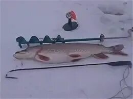 Орск рыбалка