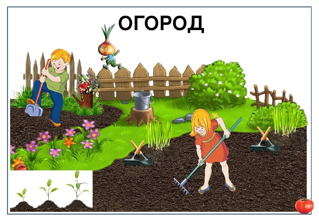 Сад без труда. Огород для детей. нарисовать огород. огород с грядками для детей. сажаем огород в детском саду.