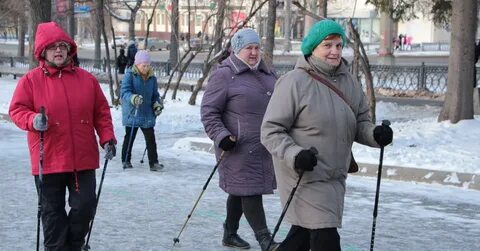 Скандинавские палки для пожилых