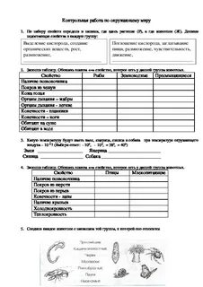 Анализ контрольных работ 2 класс 1 полугодие