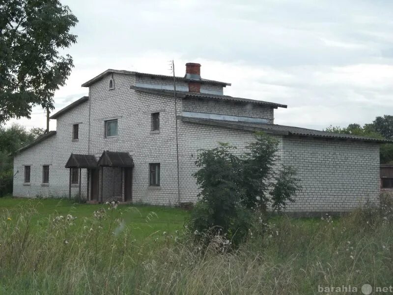 Посёлок Суходолье Калининградская область. Хутора в Калининградской области. Суходолье (Гвардейский район, Калининградская область. Калининградский Райн посёлка Гвардейская. Дом в гвардейском калининградской