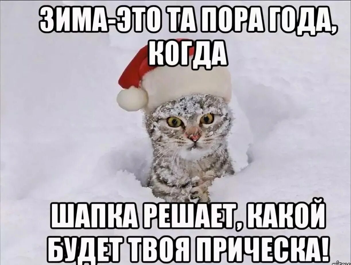Тем кто идет по зимнему. Мемы про зиму. Смешные мемы про зиму. Зимние приколы мемы. Мемы про зиму и новый год.