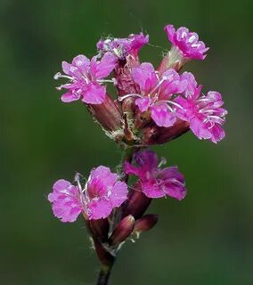 i?id=75e476ff4c94d40074db9f664feb61e3-56