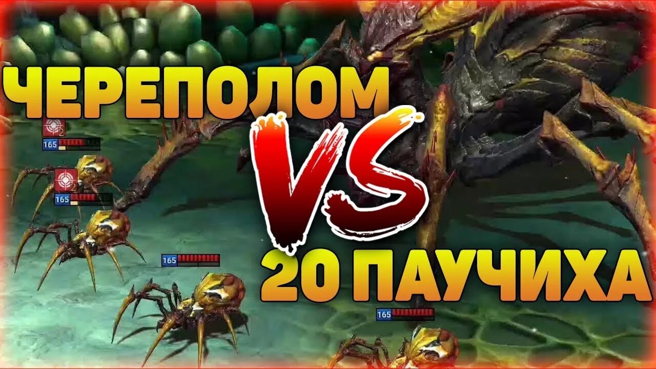 Raid shadow legends паучиха. Паучиха рейд. контра raid shadow. 20 паук райд. соло фарм 20 паучиху рейд.