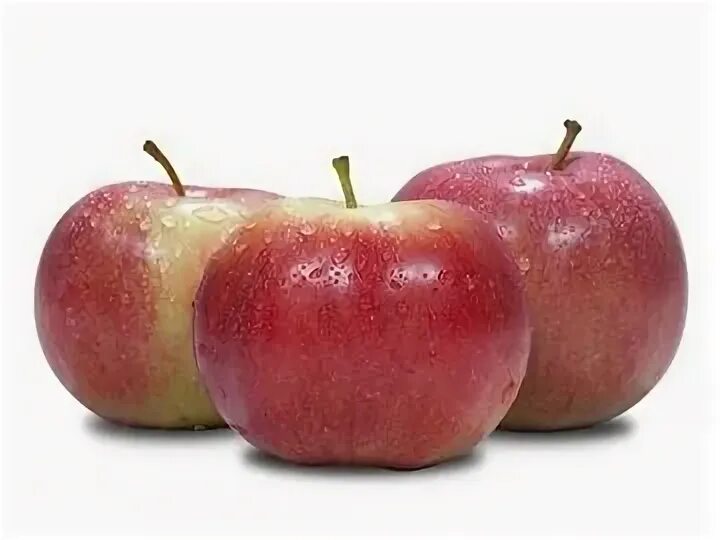 Apple poland