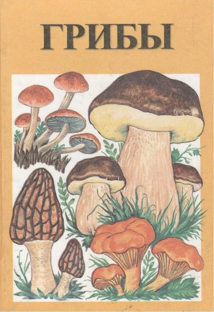 Обложка книги живые грибы. Самый популярный справочник грибы. «грибы». Грибы в вологодской области книга. Книги про грибы для детей.