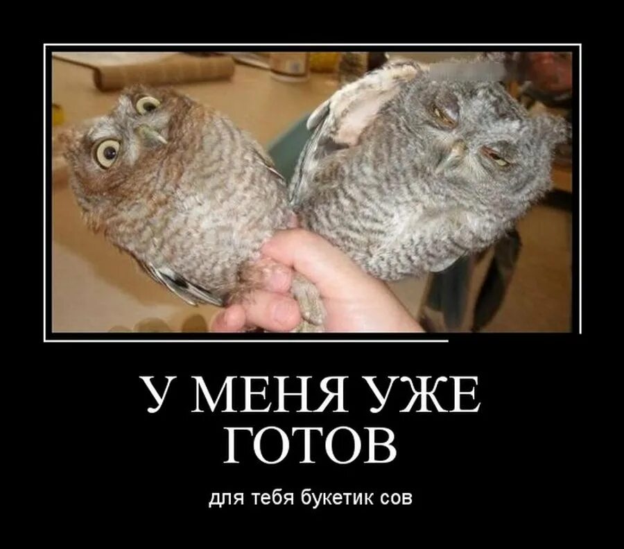 Нет я уже готов. Мемы про мертвую мать. Нет алкоголю. Нет я уже готов. Дорогой я уже готова к детям.