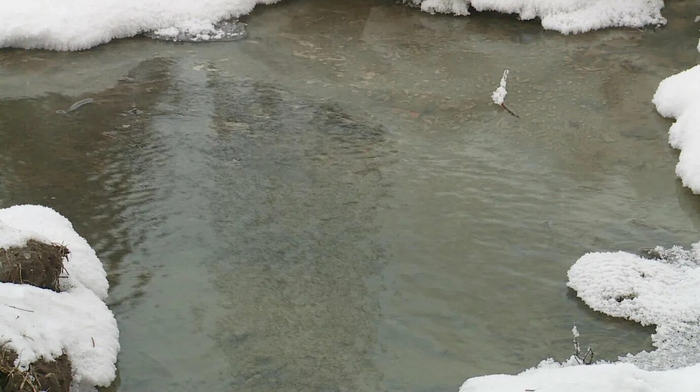 Вода 5 в видном. Родник бьёт зима. На дне озера бьет Родник стадо из 17 слонов.