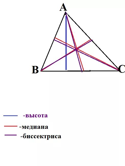 Вершины медианы биссектрисы. Высота и меридиана Медиана биссектриса треугольника. Медиана остроугольного треугольника. Треугольник с тремя медианами биссектрисами и высотами. 3 Треугольника с медианой биссектрисой и высотой.