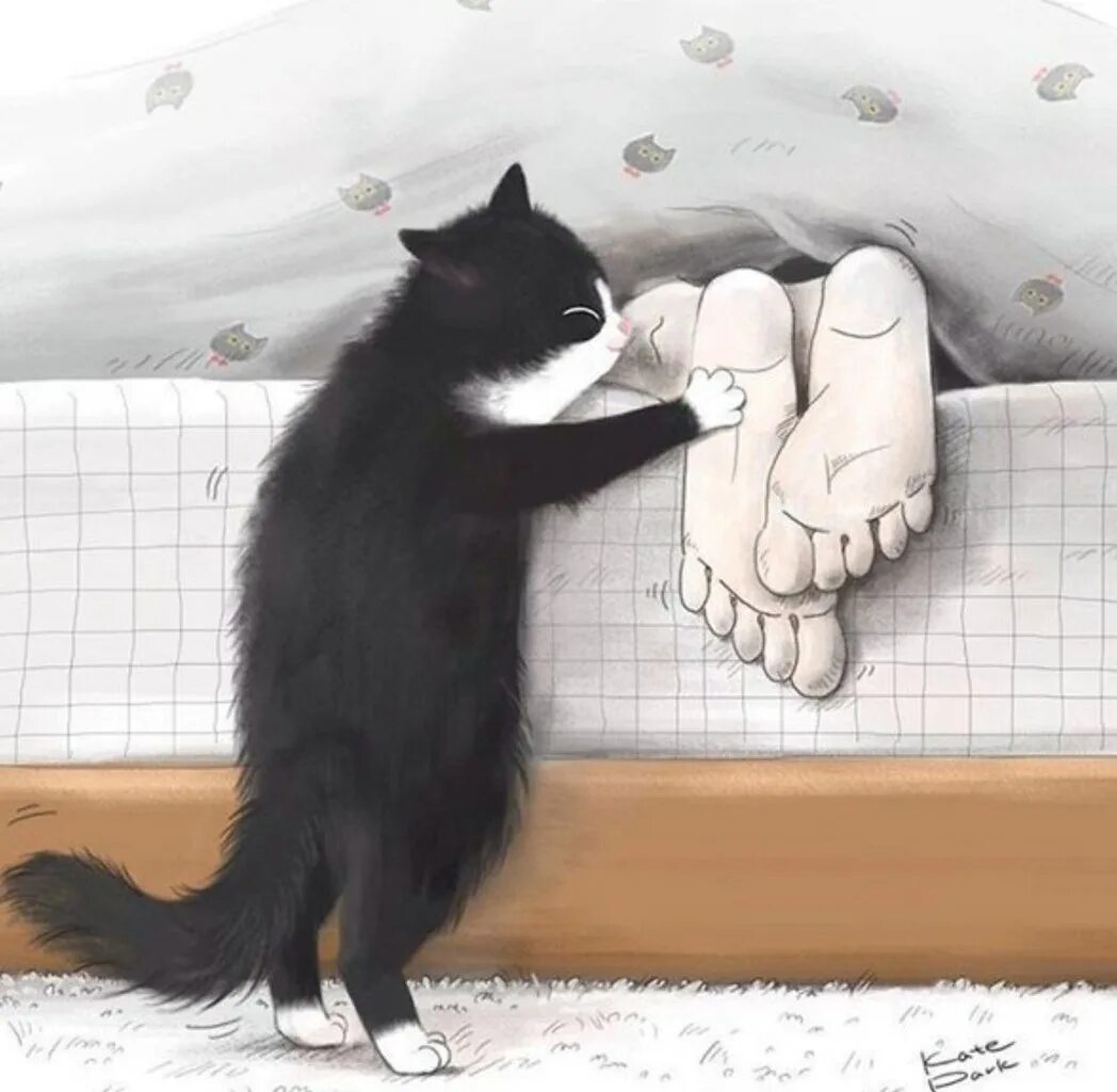 Кошки утро смешно. Доброе утро котики. С добрым утром котенок. Смешные открытки с котами. Открытки с добрым утром с котиками.