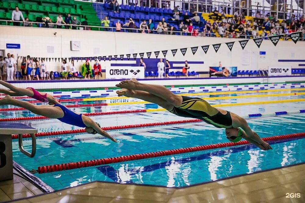 арена плавание. магазин arena для плавания обнинск в олимпе. всероссийский детский турнир по плаванию arena water. бассейн в шилове фск арена. хотьково арена по плаванию.