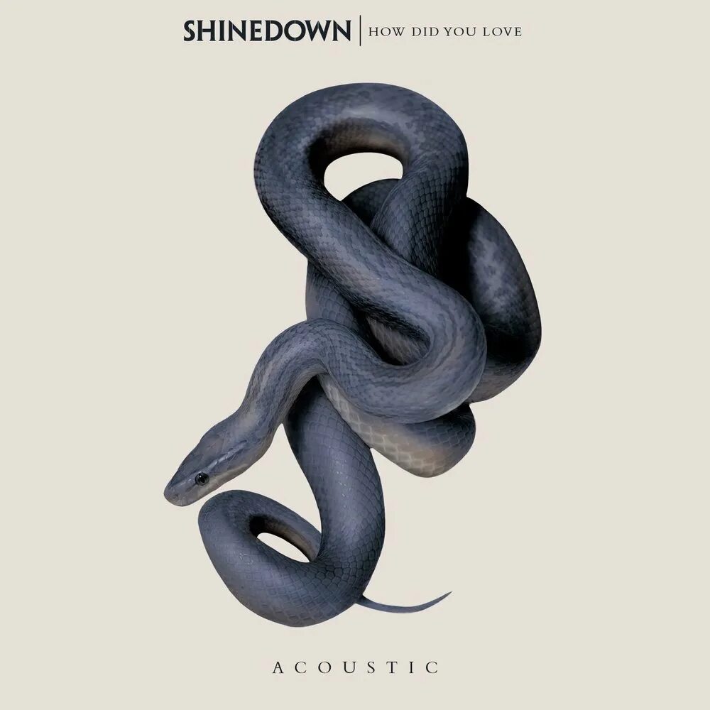 Shinedown how did you love. Shinedown обложка. shinedown обложки альбомов. how did you love shinedown. альбом обложка змея.