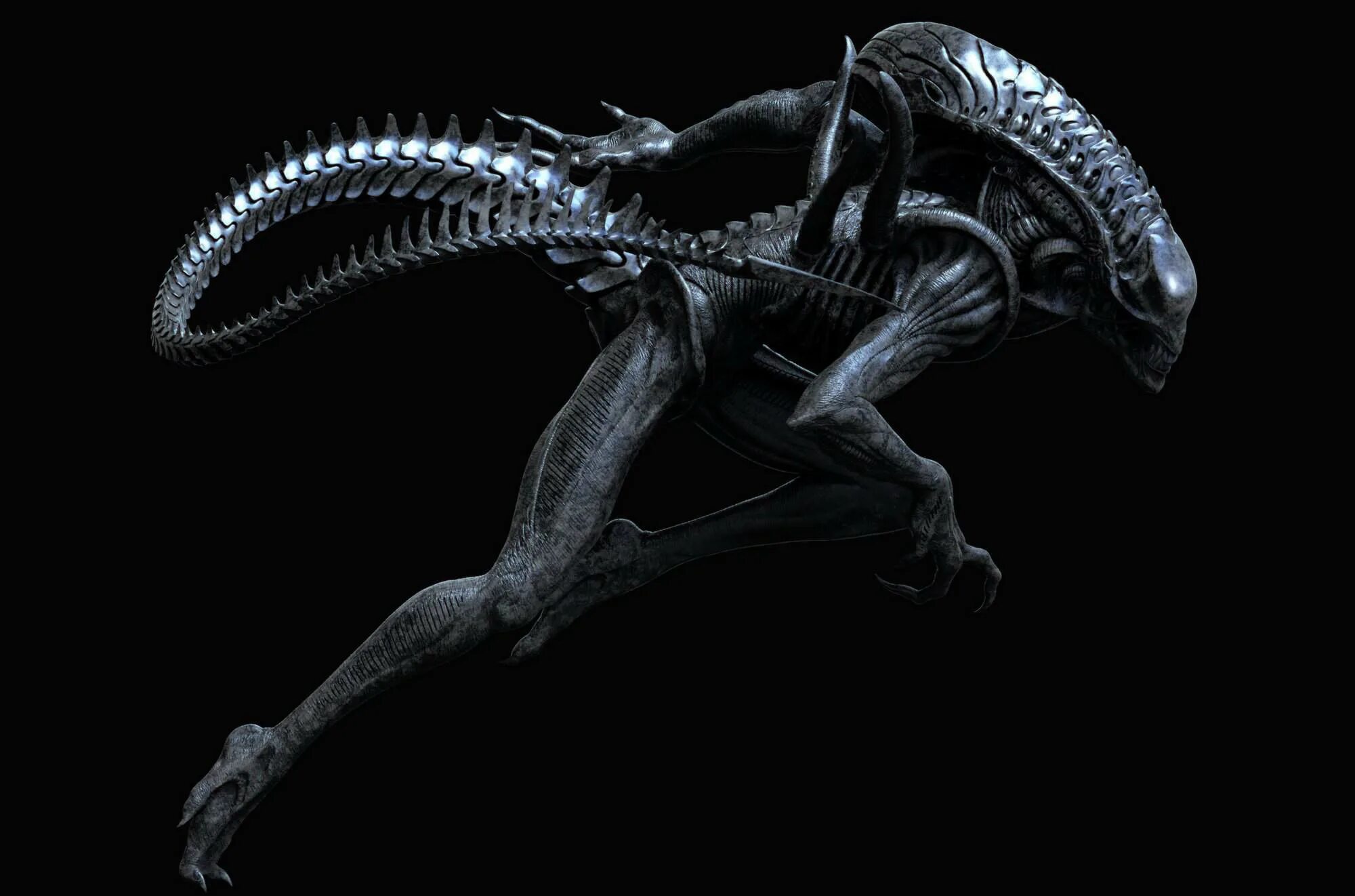 ксеноморф трутень чужой 1979. Alien ксеноморф xenomorph. чужой ксеноморф. чужой лицехват грудолом. ксеноморф референс чужой.