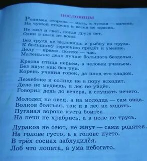 Пуганая ворона куста боится означает что