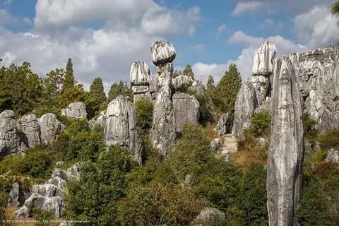 Каменный лес