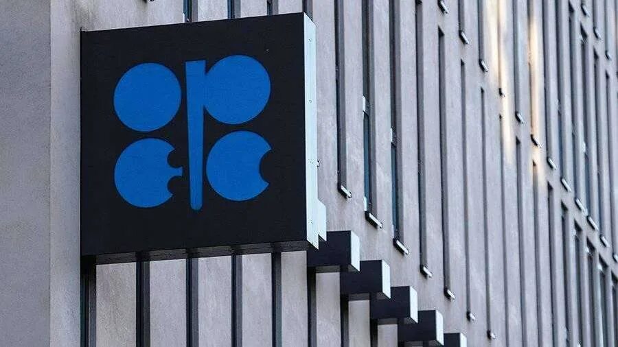 Законопроект опек. Опек. опек логотип. опек эмблема.