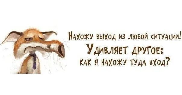 Выход из ситуации цитаты. Из любой ситуации есть выход. из любой ситуации есть выход цитаты. нахожу выход из любой ситуации удивляет другое как я нахожу туда вход. я найду выход из любой ситуации но как.