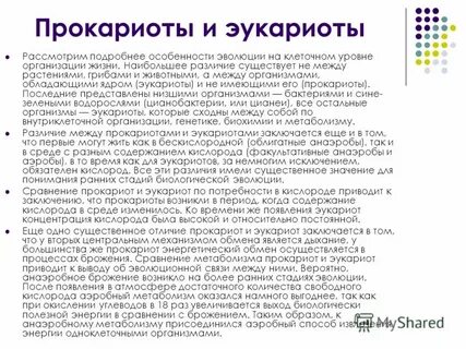 Хемосинтез брожение