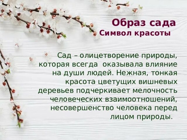 Смысл названия вишневый сад кратко. Чехов вишневый сад цитаты. Образ вишневого сада. Образ вишневого сада символ красоты. Образы символы вишневый сад.