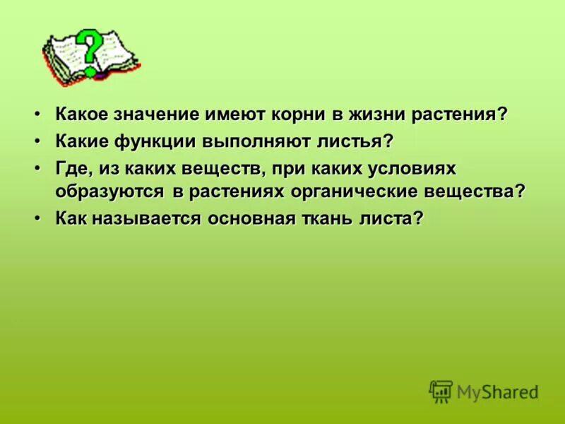 Написать значение корня. Какое значение имеет корень в жизни растения. Какое значение для растения имеет корень. Значение корня в жизни растения. Функция листа в жизни растений.