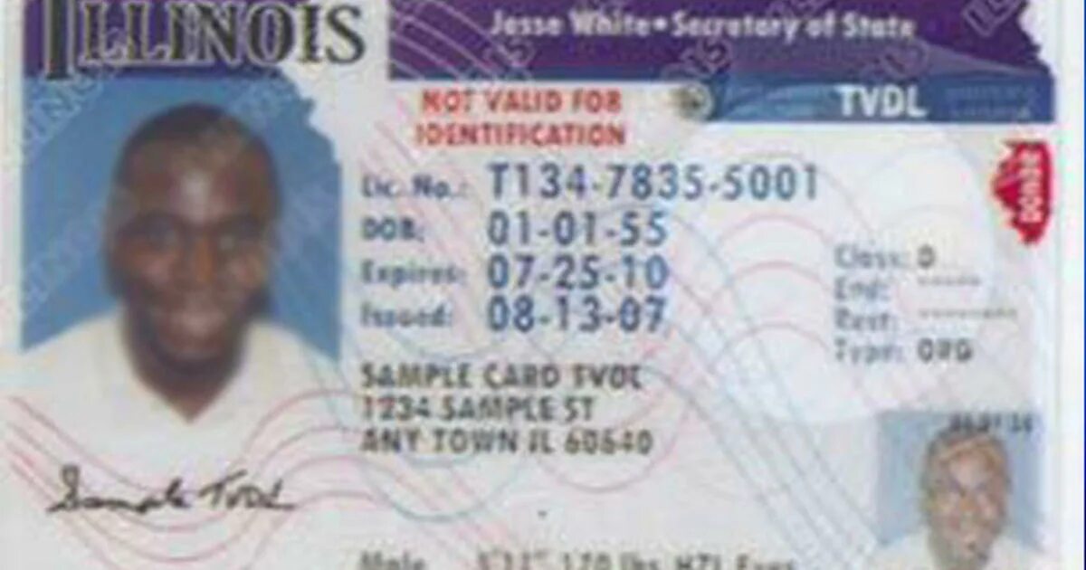License to start. Illinois driver license. illinois driver license back.