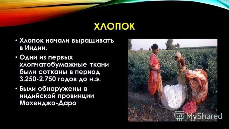 вклад в мировую культуру. вклад египтян в мировую культуру 30. вклад индии в мировую культуру. вклад древнего китая в мировую культуру. достижения культуры средневековой индии.