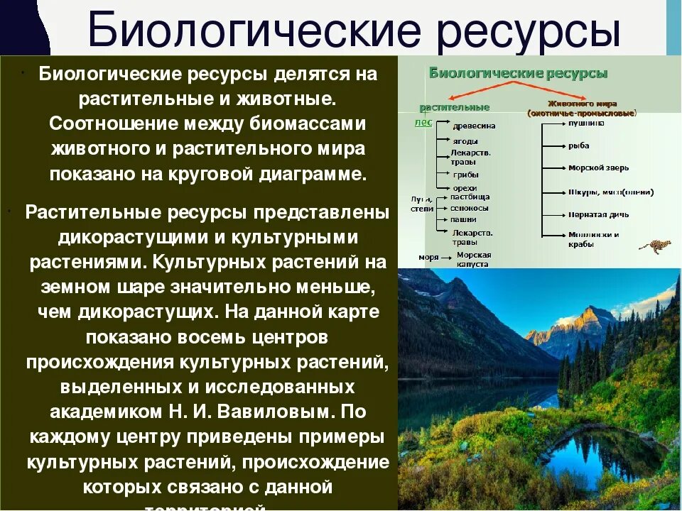 К важнейшим ресурсам относятся