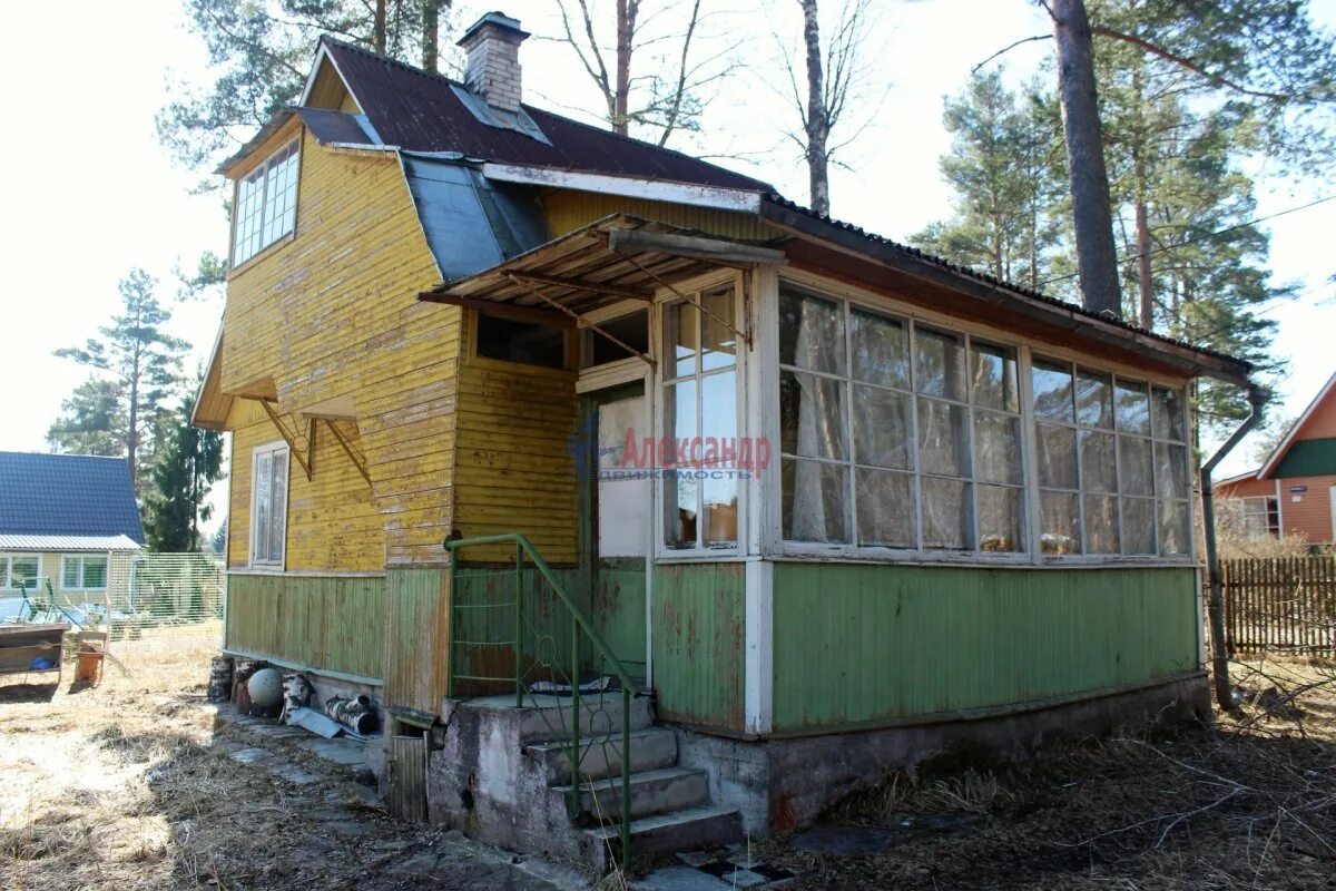 Орехово северное сайт. ДПК Борки Приозерский район сайт. Массив Орехово-Северное ДПК октябрь. Орехово Северное. Ленинградская область, Приозерский район, ДПК Борки,.