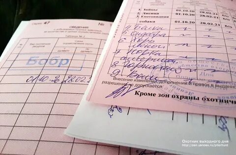 Отдельный выдавать
