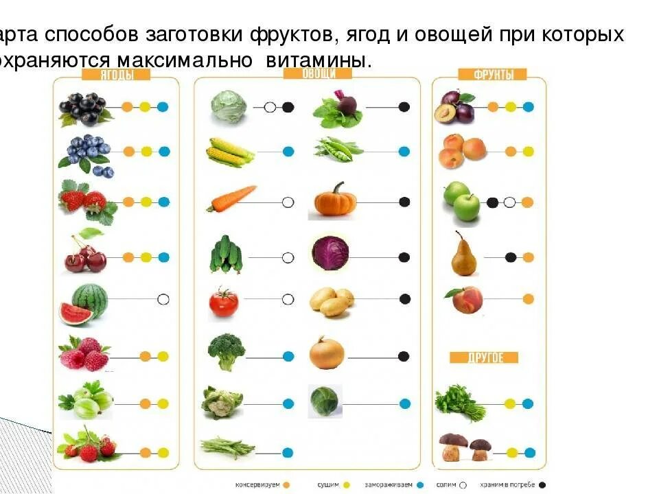 Схема фруктов. Последовательность введения овощей и фруктов. Методы заготовки фруктов и овощей. Способы заготовки фруктов и ягод. Фрукты и овощи порядок введения.