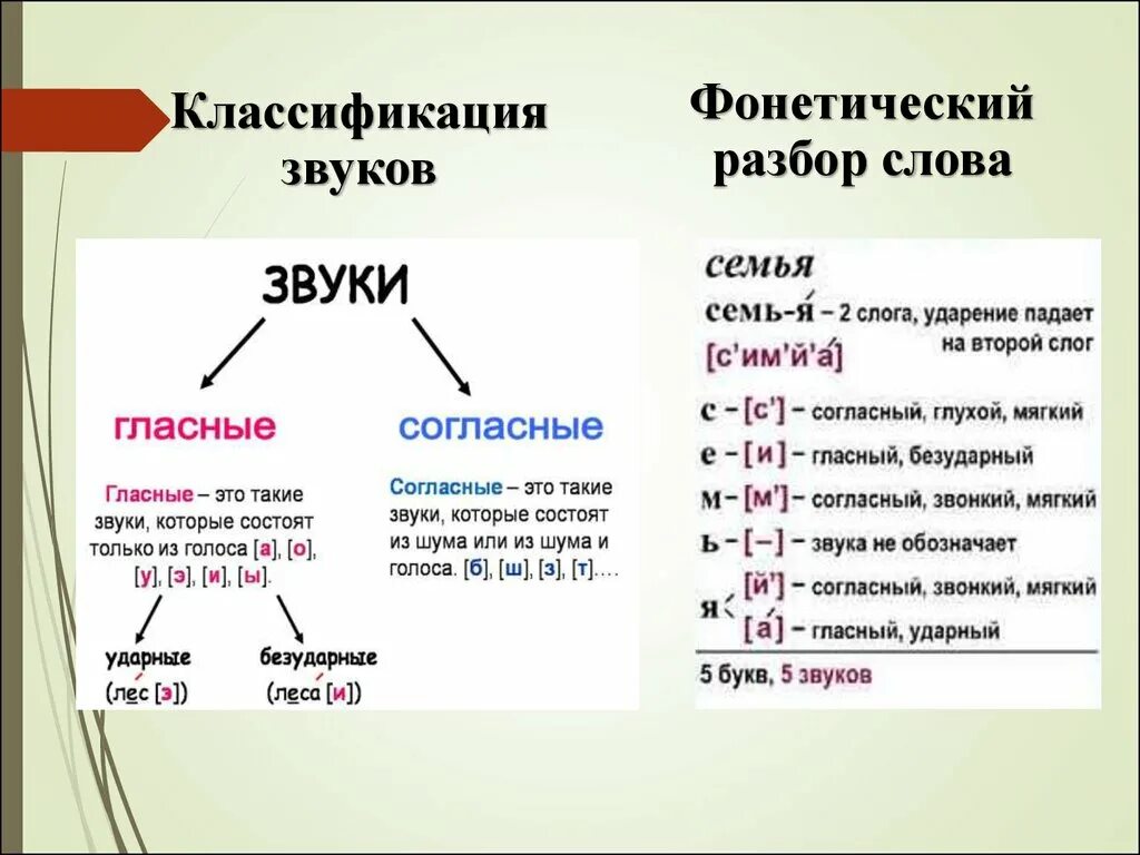 Фонетика слово язык