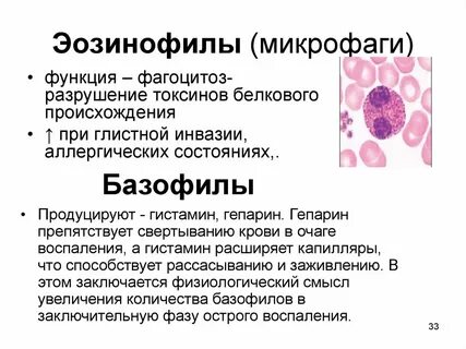 Что означает эозинофилы выше нормы