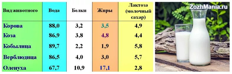 Лактозы в молоко коровье калорийность. Химический состав молока коровьего. Лактоза коровьего молока. Коровье молоко калорийность. Молоко после 50 польза и вред