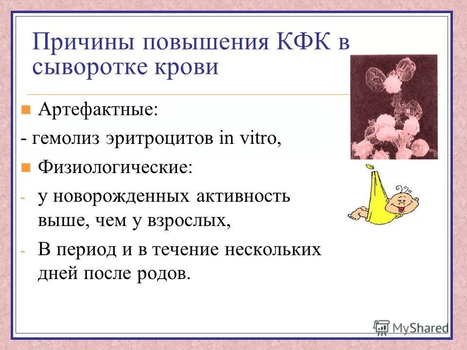 креатинкиназа биохимия. причины повышения кфк. динамика кфк при остром инфаркте миокарда. причины повышения креатинфосфокиназы. повышение кфк в крови причины.