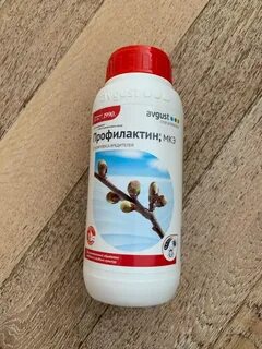 Профилактин за сколько до дождя