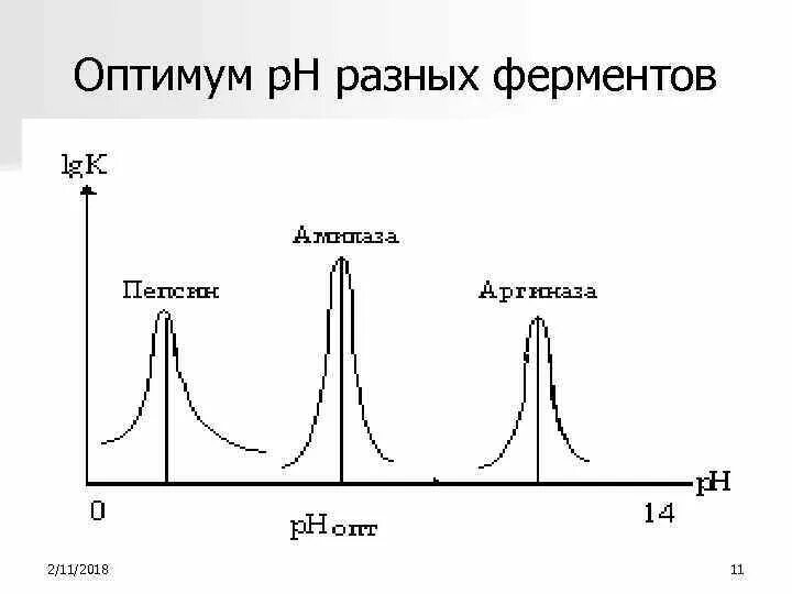 Оптимум функции. Оптимум ph ферментов. биологический оптимум. примеры оптимума. рн-оптимум действия фермента это.