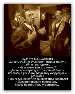 Выражения из собачьего сердца