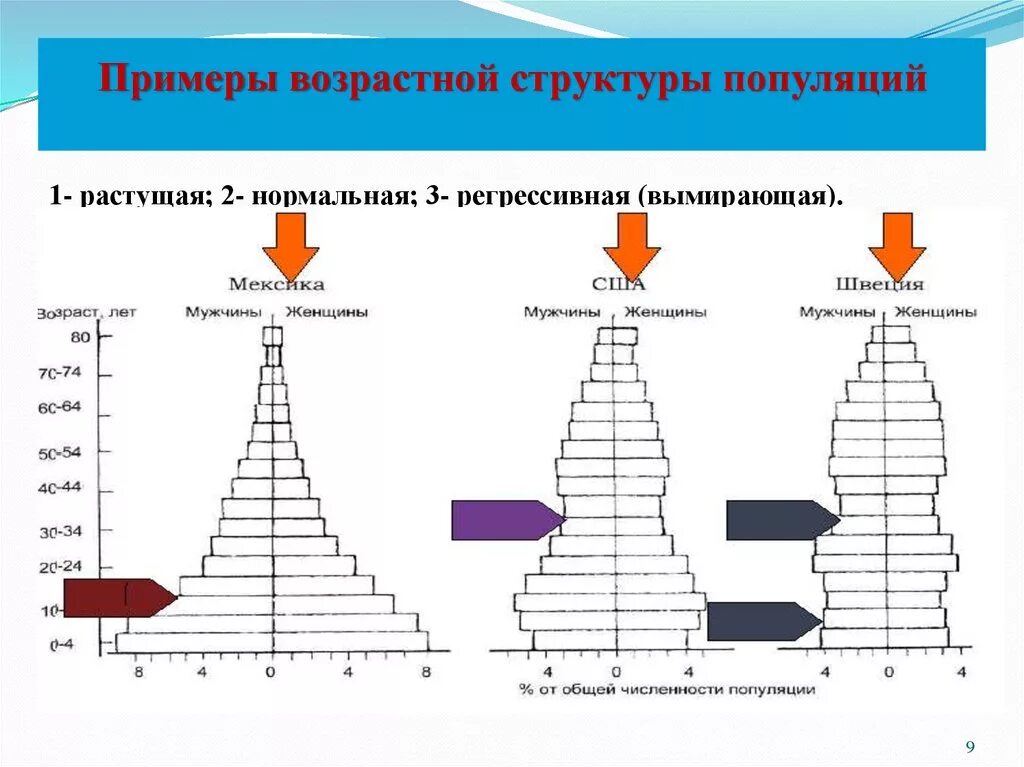 Характеристика популяций возрастная структура. Структура популяции: возрастной состав. Возрастная пирамида растущей популяции. Возрастная структура популяций возрастные группы. Структура популяций сложная возрастная структура и простая.