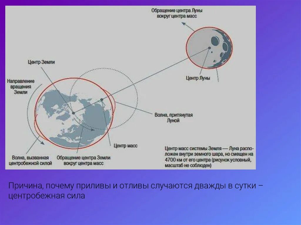 Приливы и отливы. Приливы и отливы на земле. Центр масс земли и Луны. Центробежная сила Луны вокруг земли. Скорость обращения луны