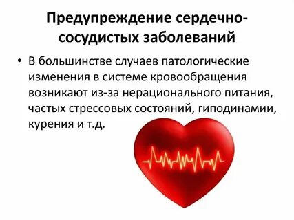Как предупредить болезни сердечно сосудистой системы