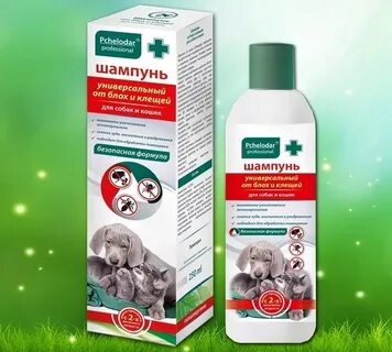 Можно ли собакам человеческий шампунь
