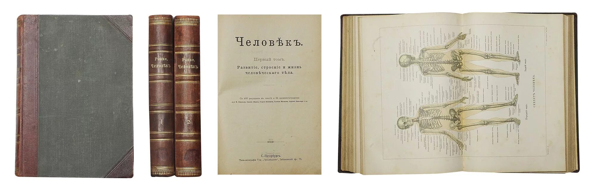 Л. Фон ранке,. Ранке история. Немецко-историческая школа. Ранке ученый.