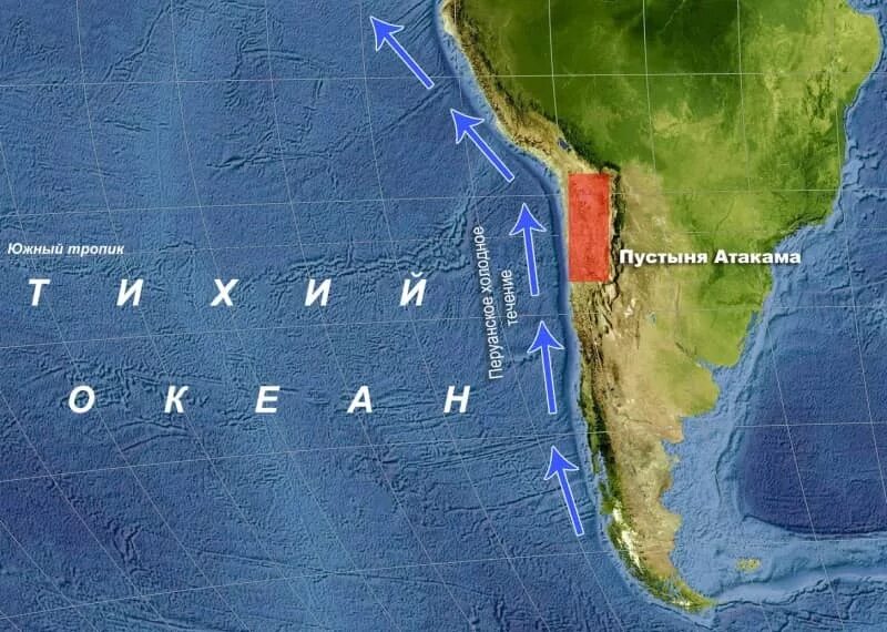 Перуанское течение на карте. Южная Америка перуанское течение. Пустыня Атакама и перуанское течение на карте. Перуанское Холодное течение. Образование пустыни атакама на западном побережье