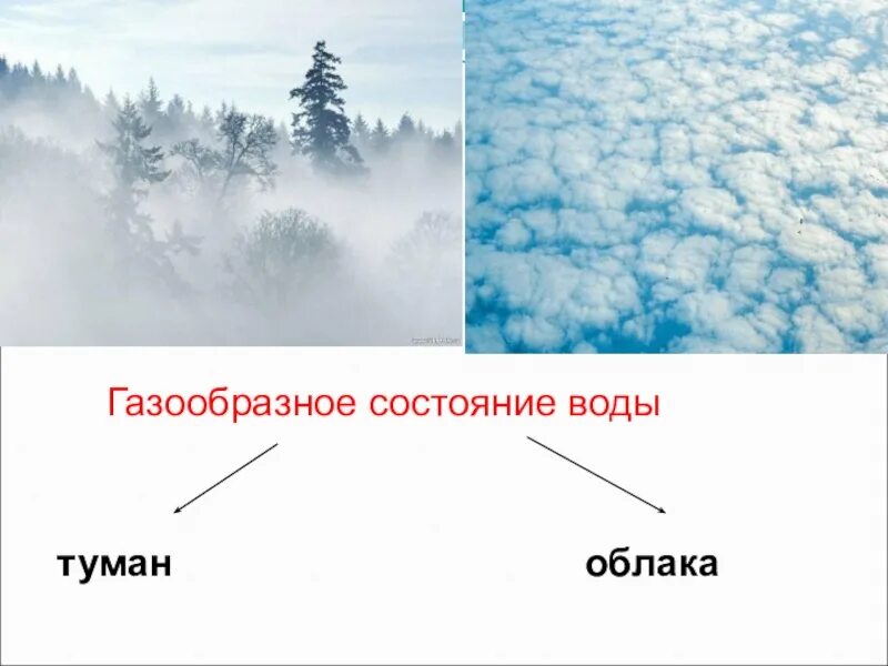 Газообразное состояние воды. Туман состояние воды. Газообразная вода. Газообразное состояние воды в природе. Парообразное состояние воды