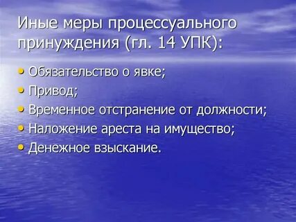 Иные меры процессуального принуждения это