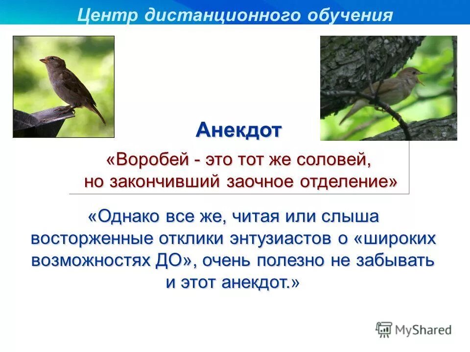 приколы воробьем мемы. анекдот про воробьев. анекдот про воробья. анекдот про косу и мотоциклиста. анекдот.