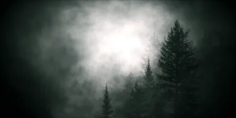 Dark waking