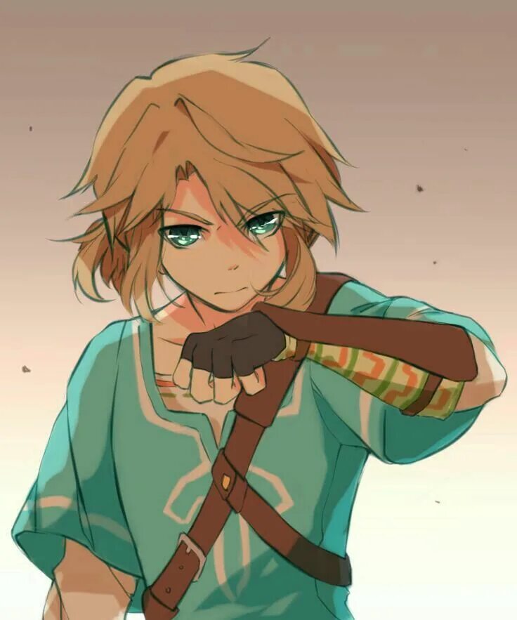 Линк стр. Линк зельда. линк the legend of zelda. линк зельда арт. линк арт the legend of zelda.